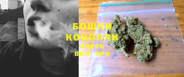 молекула духа Каменногорск
