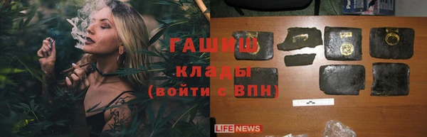 молекула духа Каменногорск