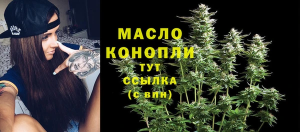 молекула духа Каменногорск
