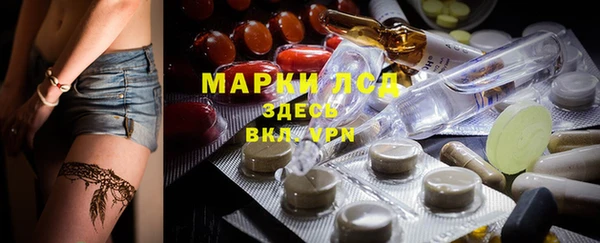 молекула духа Каменногорск