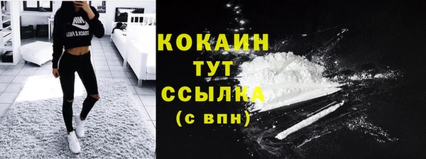 молекула духа Каменногорск