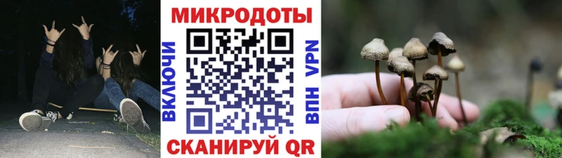 купить сайты Арзамас Псилоцибиновые грибы Cubensis